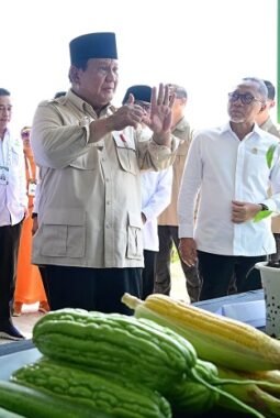 Pemerintahan Prabowo Hadapi Tantangan dalam Bangun Keercayaan Publik dan Jaga Stabilitas Poliitik