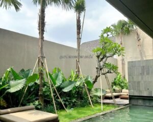 jasa-tukang-taman